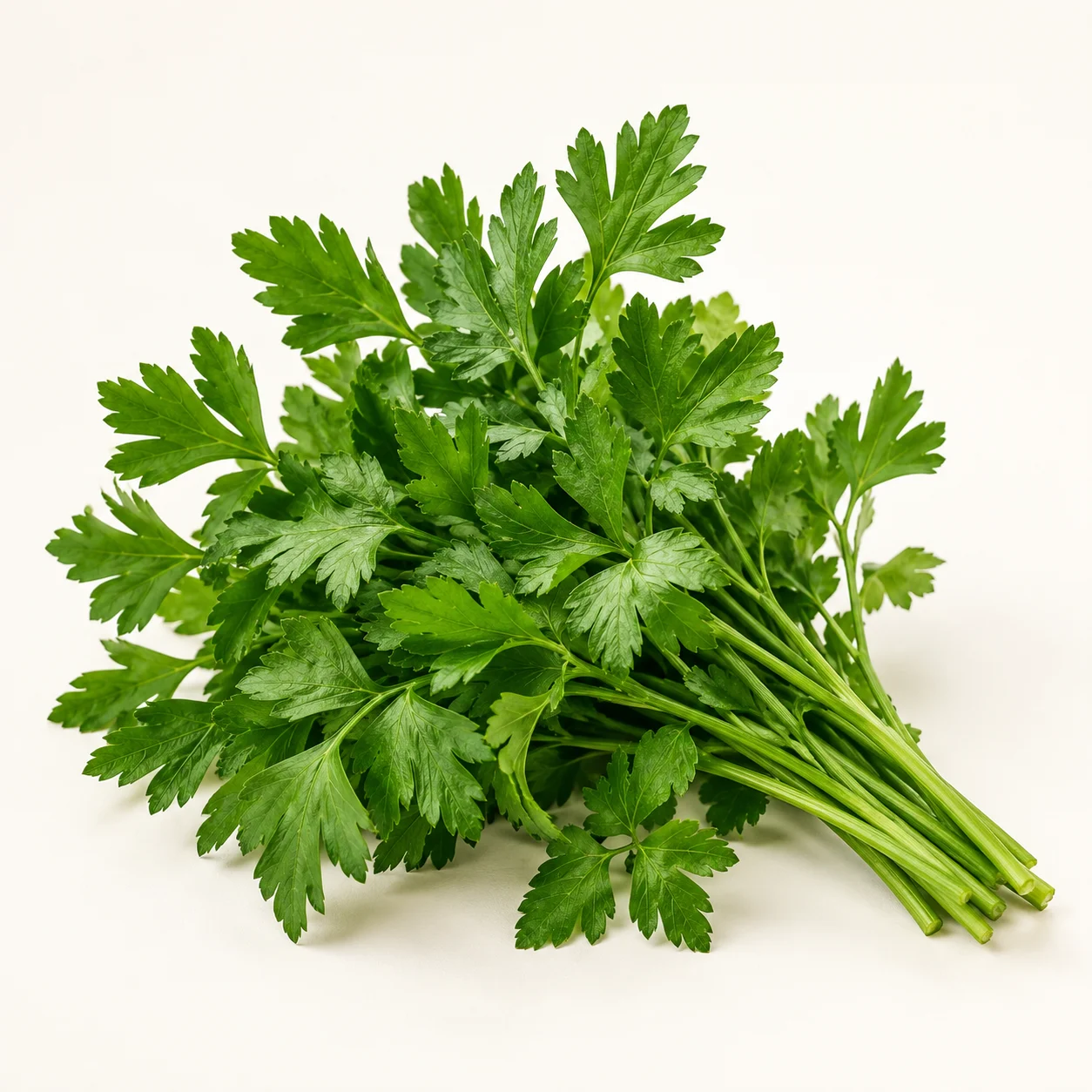 Maydanoz — içerik görseli